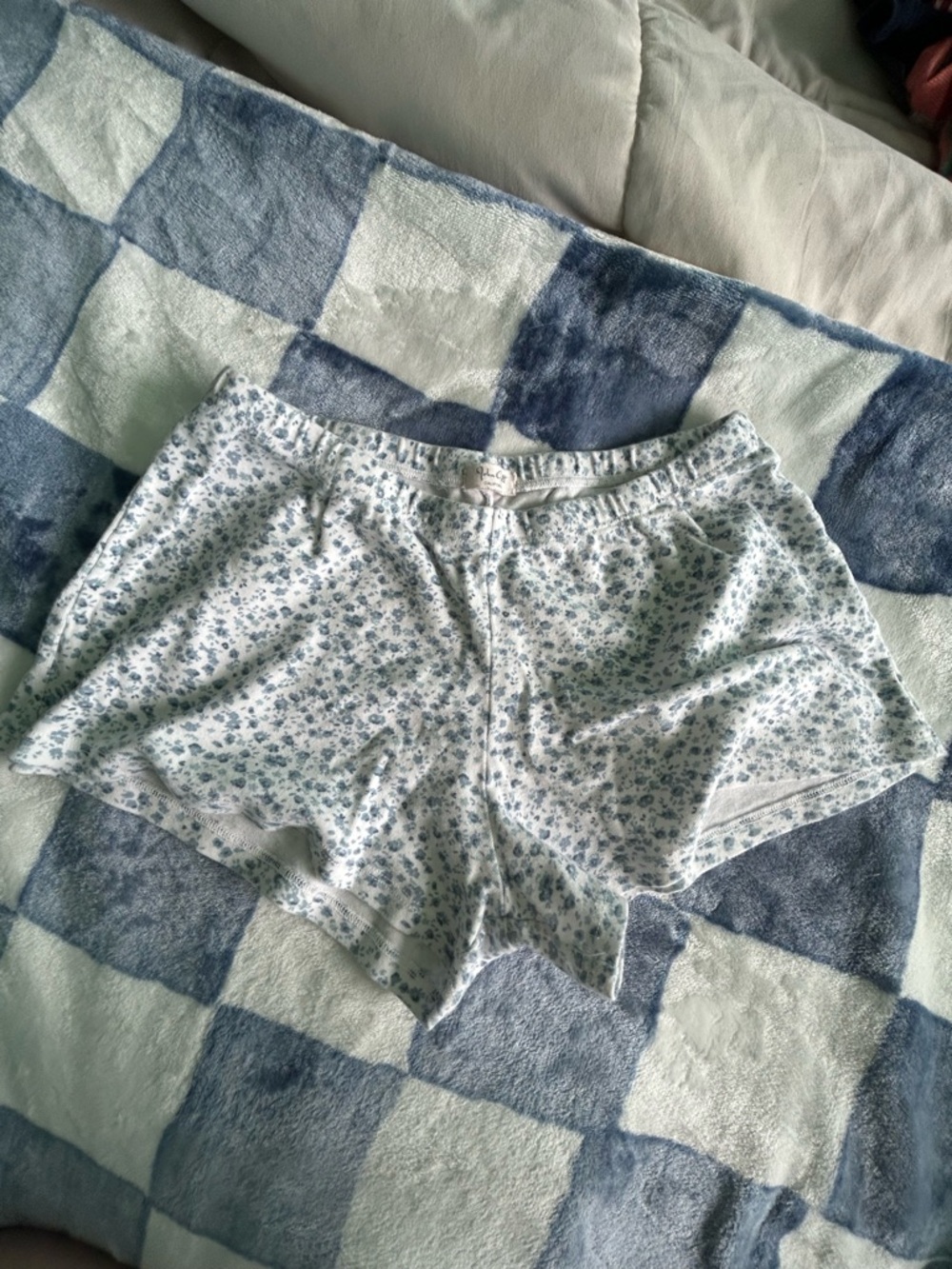 Brandy Melville Light Blue Floral Lounge Shorts